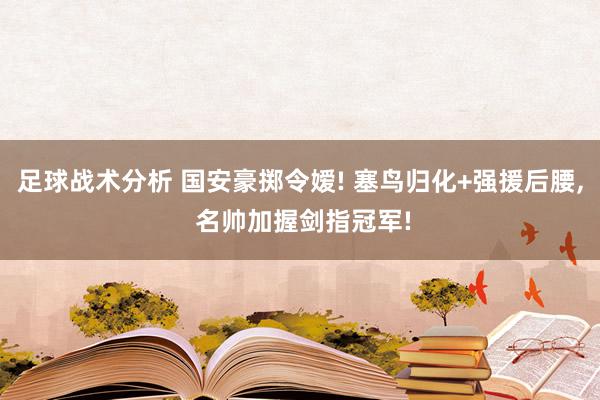 足球战术分析 国安豪掷令嫒! 塞鸟归化+强援后腰, 名帅加握剑指冠军!