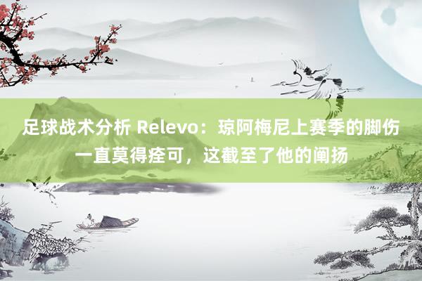 足球战术分析 Relevo：琼阿梅尼上赛季的脚伤一直莫得痊可，这截至了他的阐扬