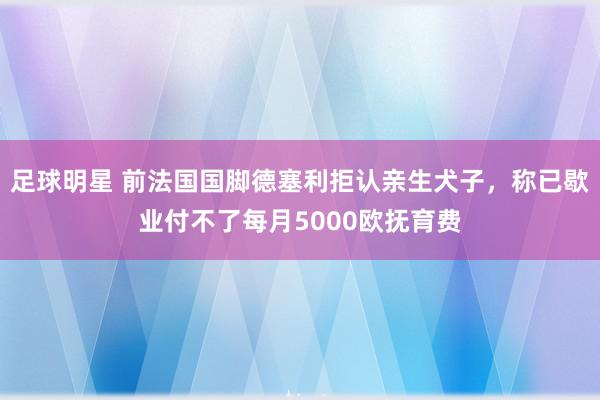 足球明星 前法国国脚德塞利拒认亲生犬子，称已歇业付不了每月5000欧抚育费