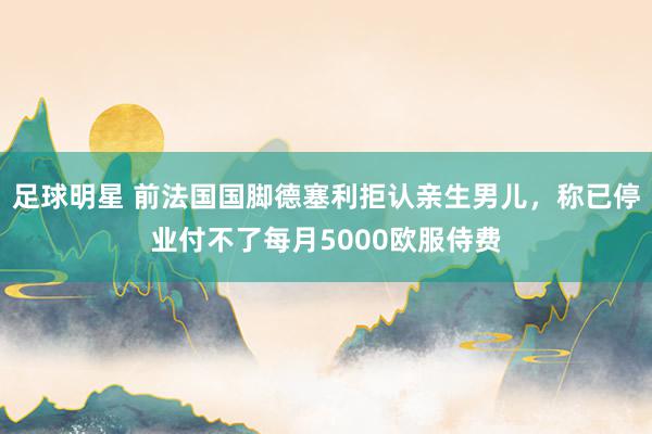 足球明星 前法国国脚德塞利拒认亲生男儿，称已停业付不了每月5000欧服侍费