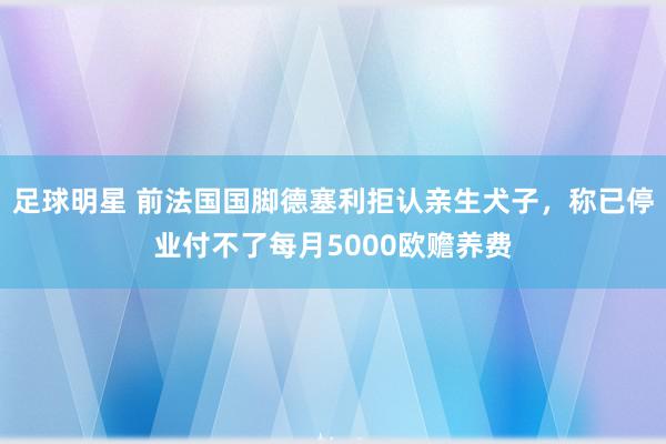 足球明星 前法国国脚德塞利拒认亲生犬子，称已停业付不了每月5000欧赡养费