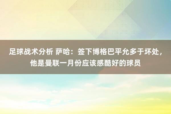 足球战术分析 萨哈：签下博格巴平允多于坏处，他是曼联一月份应该感酷好的球员