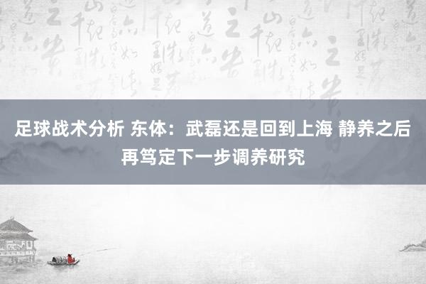 足球战术分析 东体：武磊还是回到上海 静养之后再笃定下一步调养研究