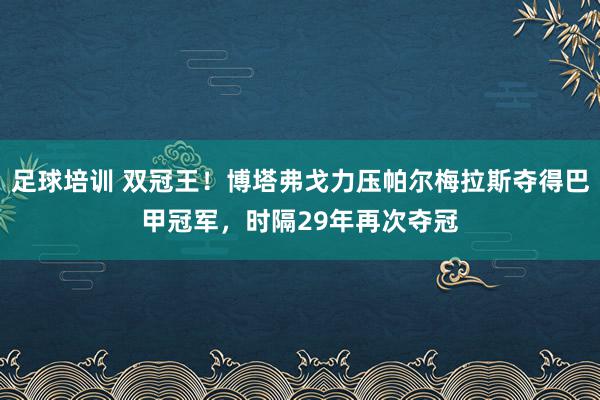 足球培训 双冠王！博塔弗戈力压帕尔梅拉斯夺得巴甲冠军，时隔29年再次夺冠