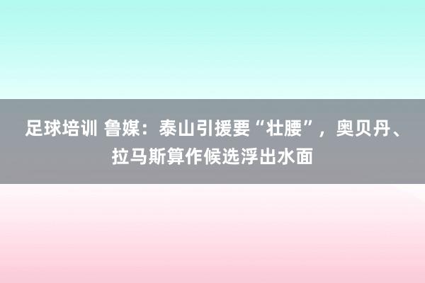 足球培训 鲁媒：泰山引援要“壮腰”，奥贝丹、拉马斯算作候选浮出水面